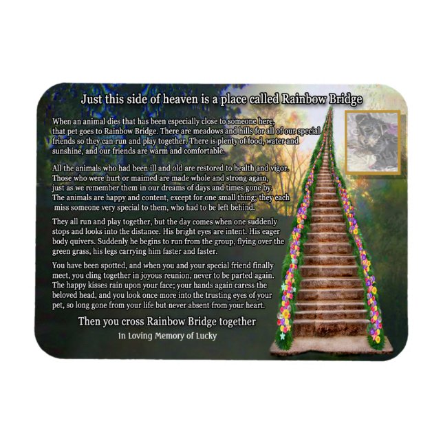 Rainbow Bridge Customizable Photo Magnet (Horizontal)