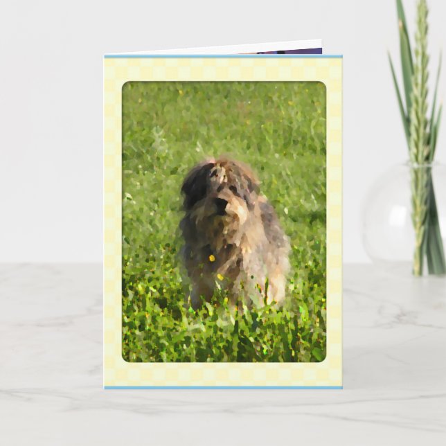 Rainbow Bridge Dog Cards (Front)