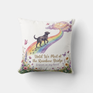 Rainbow Bridge Dog Memorial In Memory Pet Throw Pillow