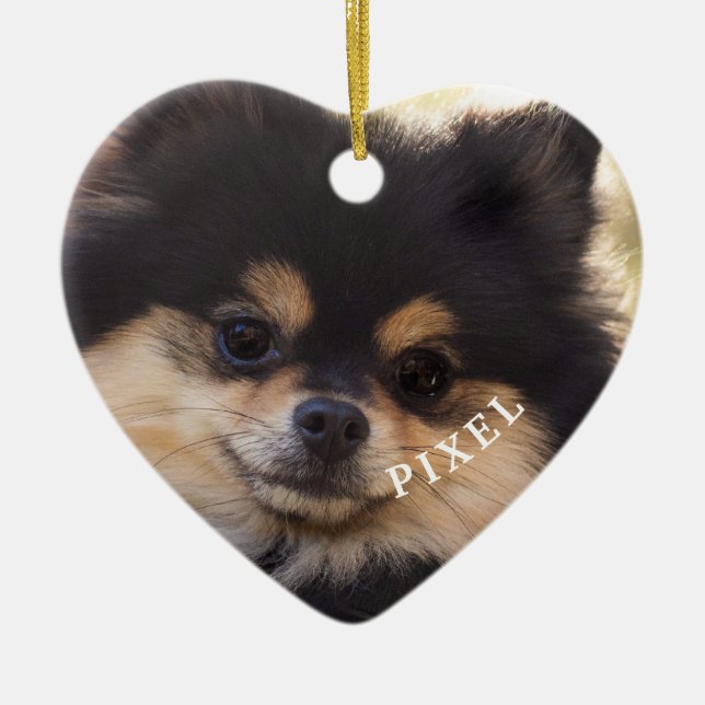 Rainbow Bridge Forever In Our Hearts Pet Loss Orna Ceramic Ornament (Front)
