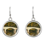 Rainbow Bridge in Fall at Grove City College Earrings