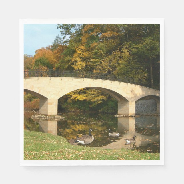 Rainbow Bridge in Fall at Grove City College Napkins (Front)
