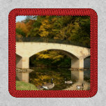 Rainbow Bridge in Fall at Grove City College Patch