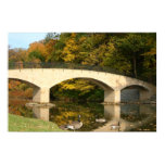 Rainbow Bridge in Fall at Grove City College Poster
