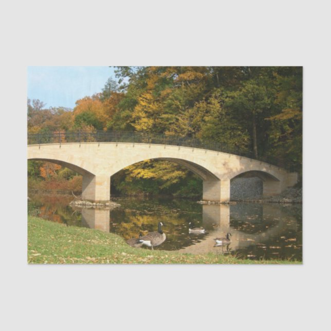 Rainbow Bridge in Fall at Grove City College Tissue Paper (Front)