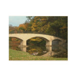 Rainbow Bridge in Fall at Grove City College Wood Poster