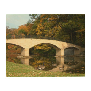 Rainbow Bridge in Fall at Grove City College Wood Wall Art