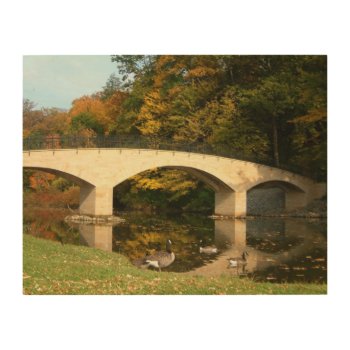 Rainbow Bridge In Fall At Grove City College Wood Wall Art by mlewallpapers at Zazzle