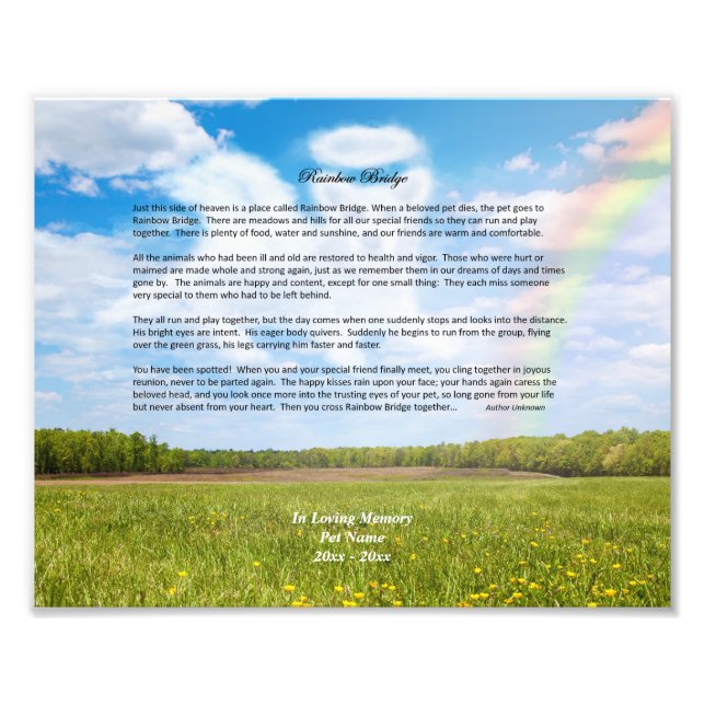 Rainbow Bridge MALE Dog Sympathy Photo Print (Front)