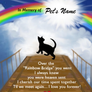 Rainbow Bridge Memorial Poem For Cats Tile Zazzle Com