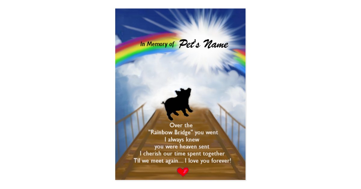 Rainbow Bridge Memorial Poem For Pigs Postcard Zazzle Com