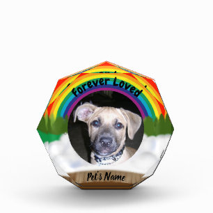 Rainbow Bridge pet loss Acrylic Award