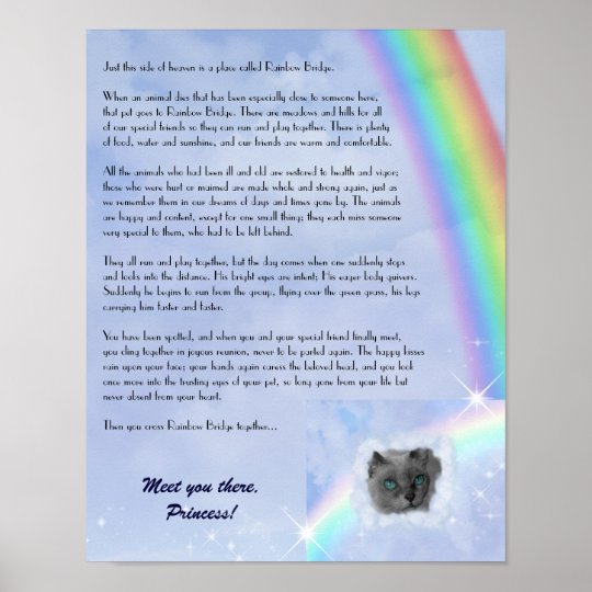 rainbow bridge pet loss customizable poster zazzlecom