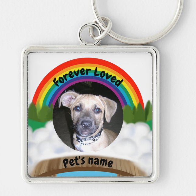 Rainbow Bridge Pet Loss Keychain (Front)