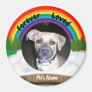 Rainbow Bridge Pet Loss Magnet