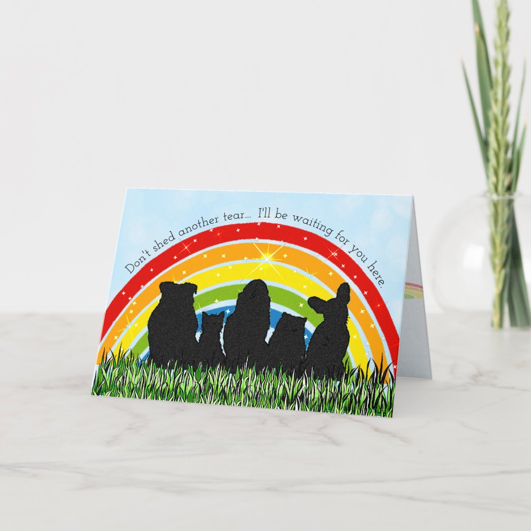 Rainbow Bridge Pet Loss Sympathy Card | Zazzle