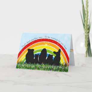 Rainbow Bridge Pet Loss Sympathy Card