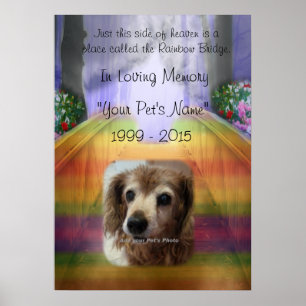 Rainbow Bridge Pet Memorial - In memory Poster