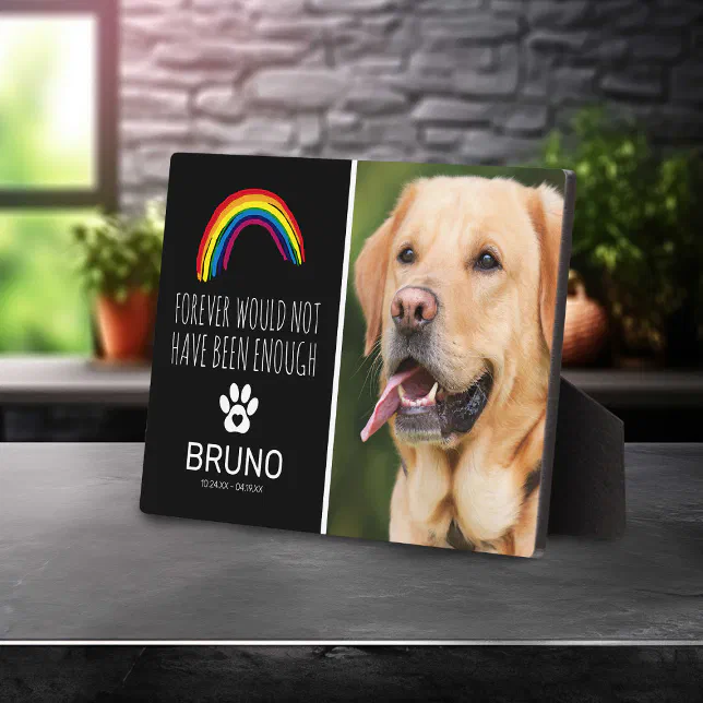 Pet Memorial Acrylic Rainbow Bridge Heart - 4x4 Inch Sympathy Gift For Loss Of Dog, Cat, Bereavement Keepsake