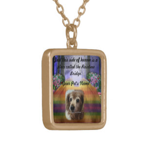 Rainbow Bridge Pet Memorial Memory Necklace