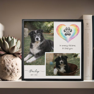 Rainbow Bridge Pet Memorial Photo Print Peel And Stick Photo Tile