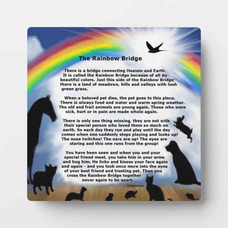 Rainbow Bridge pet memorial poem Plaque | Zazzle