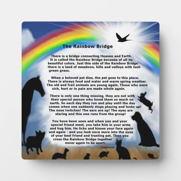 Rainbow Bridge pet memorial poem Plaque | Zazzle Rainbow Bridge pet memorial poem Plaque | Zazzle