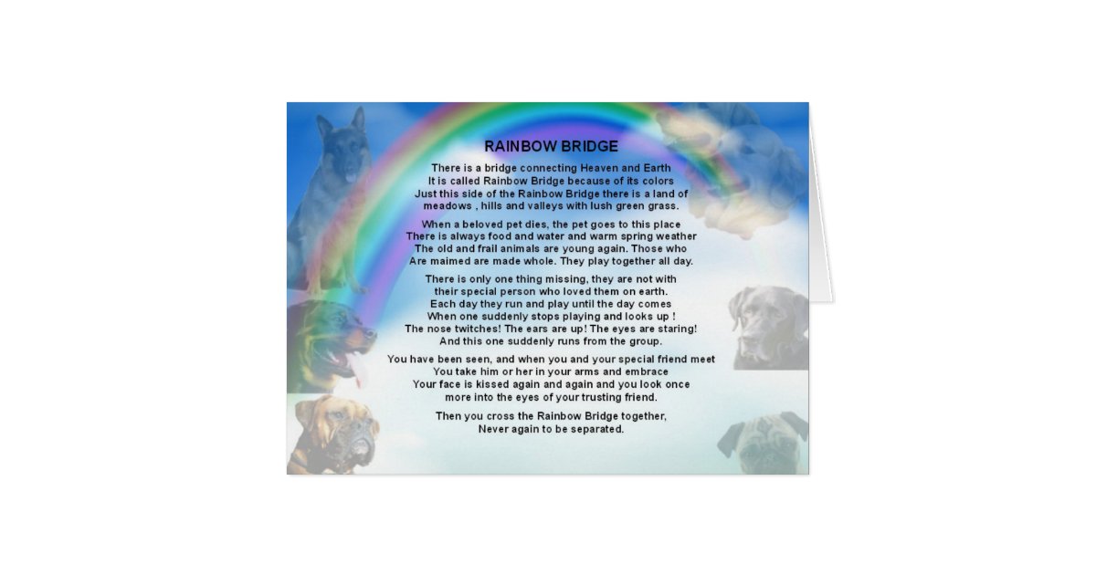 rainbow bridge poem zazzlecom