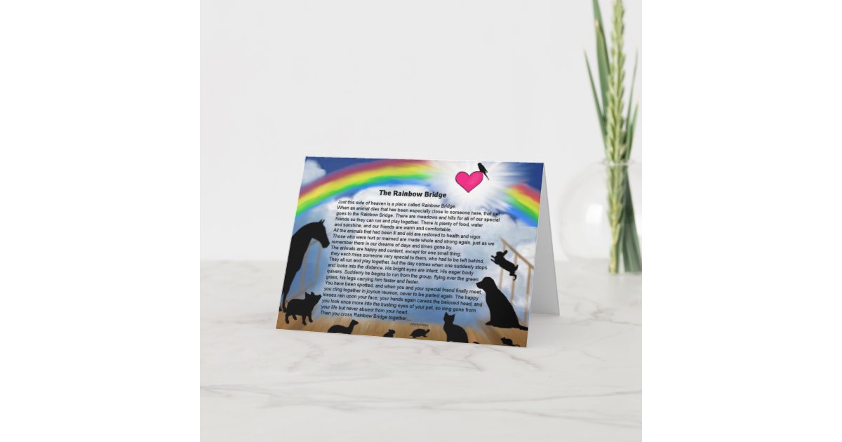 rainbow bridge poem card zazzlecom