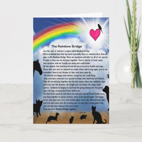 rainbow bridge poem card zazzlecom