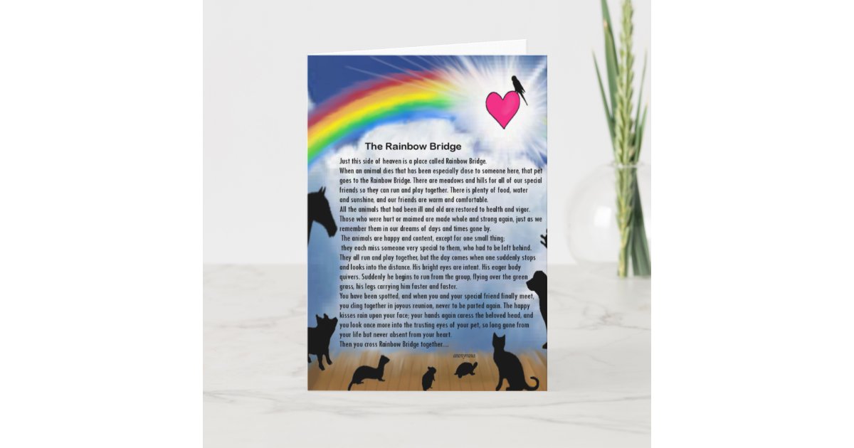 rainbow bridge poem card zazzlecom