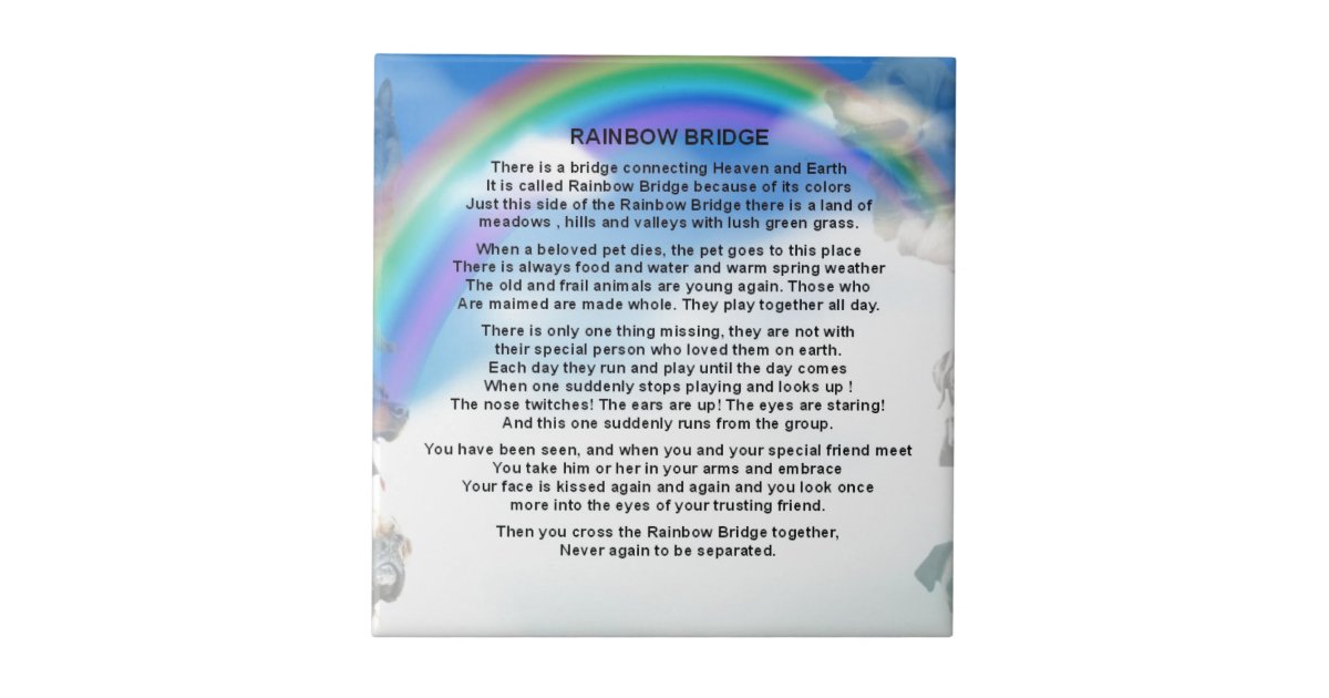 rainbow bridge poem ceramic tile zazzlecom