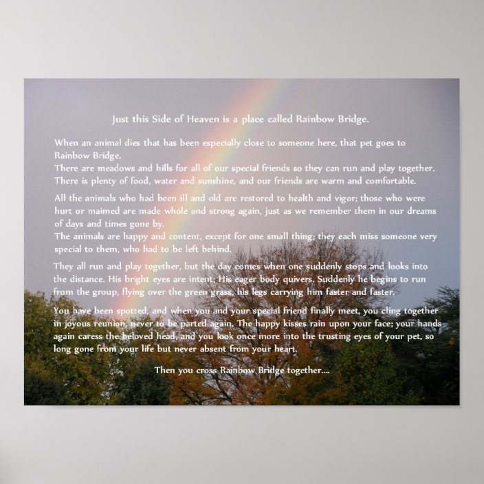 rainbow bridge poem customizable gifts poster zazzlecom