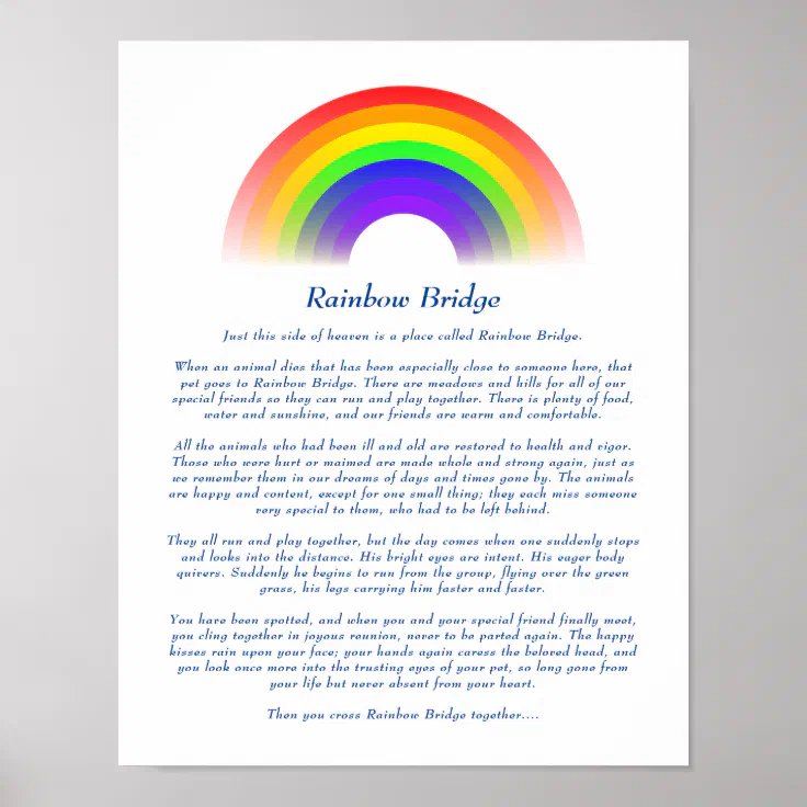 what is the rainbow bridge for dogs