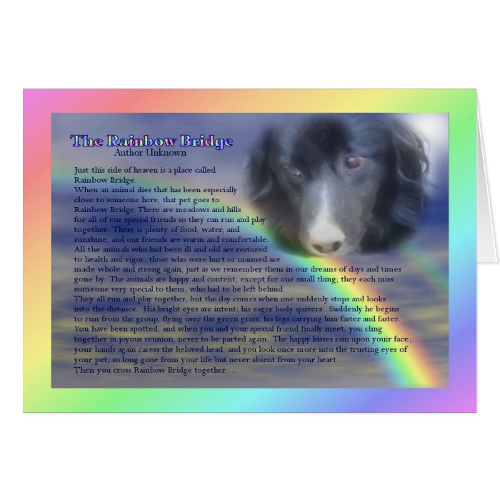 rainbow bridge poem pet loss sympathy card zazzle