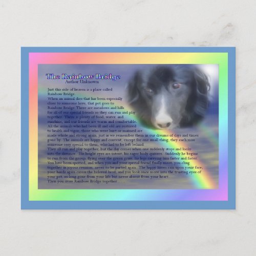Rainbow Bridge Poem Pet Loss Sympathy Postcard