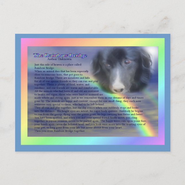 Rainbow Bridge Poem Pet Loss Sympathy Postcard (Front)