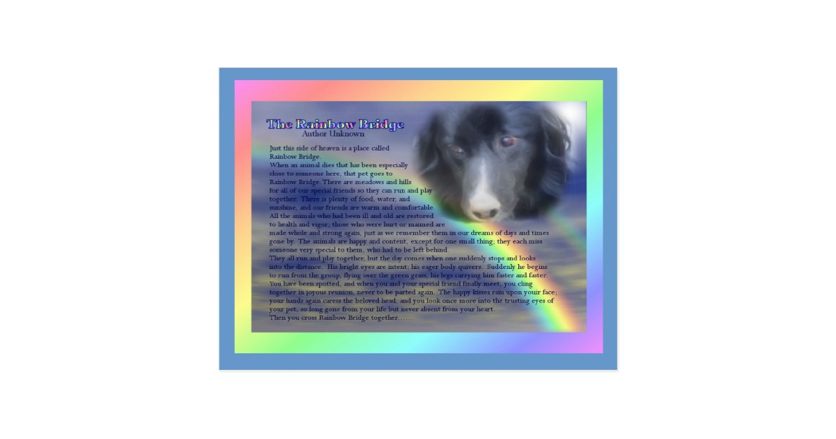Rainbow Bridge Poem Pet Loss Sympathy Postcard Zazzle Com