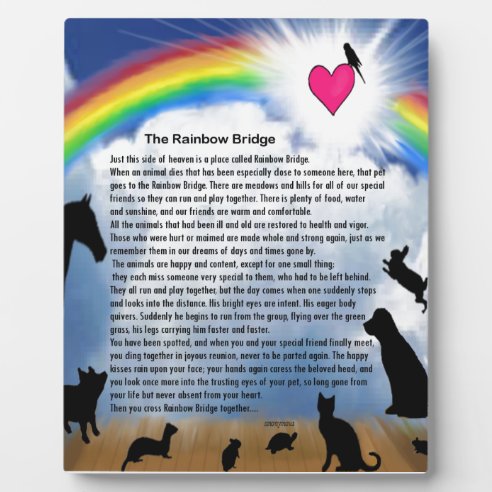 rainbow bridge poem gifts on zazzle