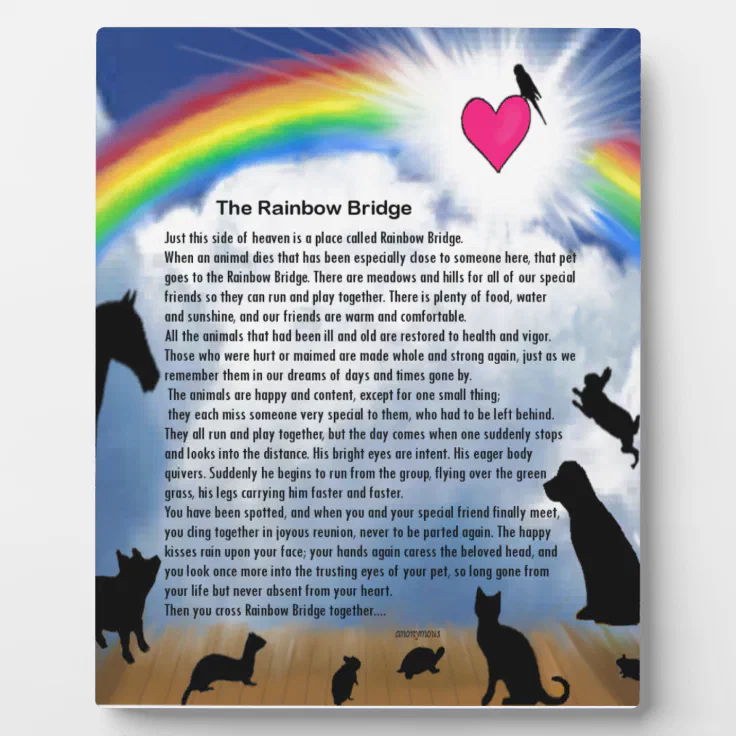Dog Art Rainbow Bridge Tribute Pets Paws Colorful Memorial Never Forgotten Animals Dogs Pet Grieving Loss Love Animal Lover Friend Sympathy - .br Dog Art Rainbow Bridge Tribute Pets Paws Colorful Memorial Never Forgotten Animals Dogs Pet Grieving Loss Love Animal Lover Friend Sympathy - .br
