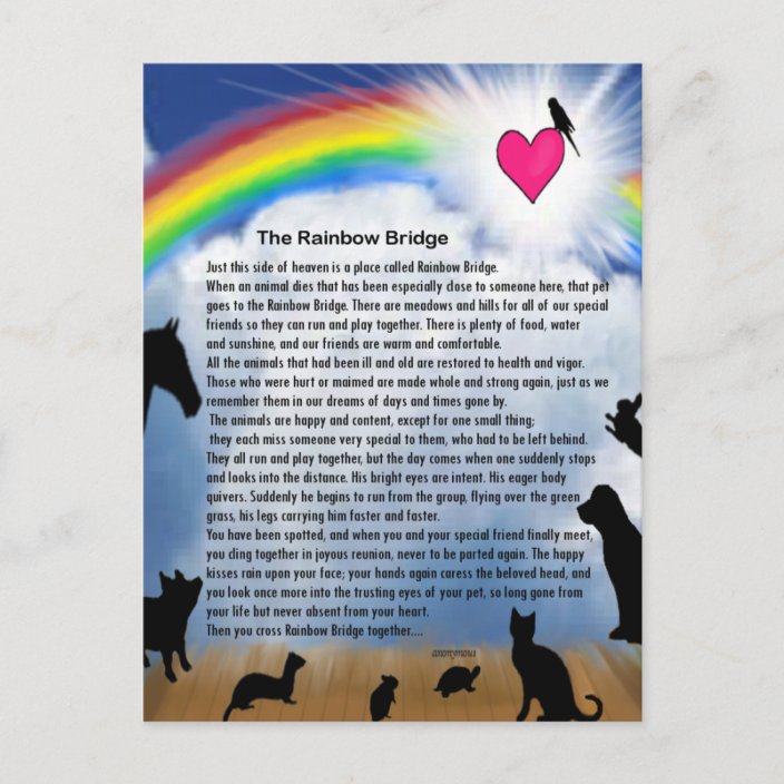 Rainbow Bridge Poem Postcard | Zazzle.com