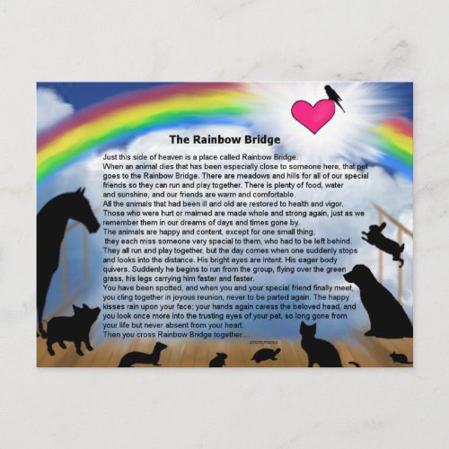 Rainbow Bridge Poem Postcard