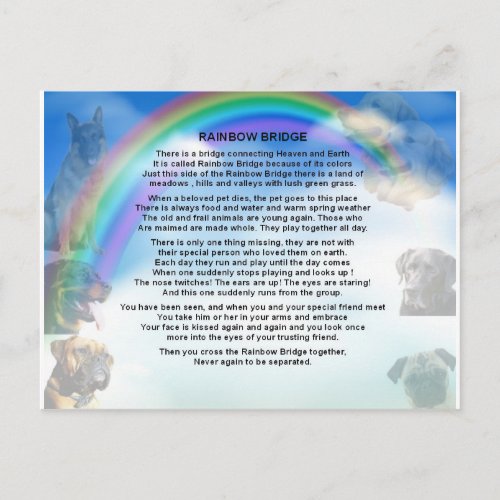 Rainbow Bridge Poem Postcard