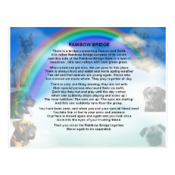 rainbow bridge poem gifts on zazzle