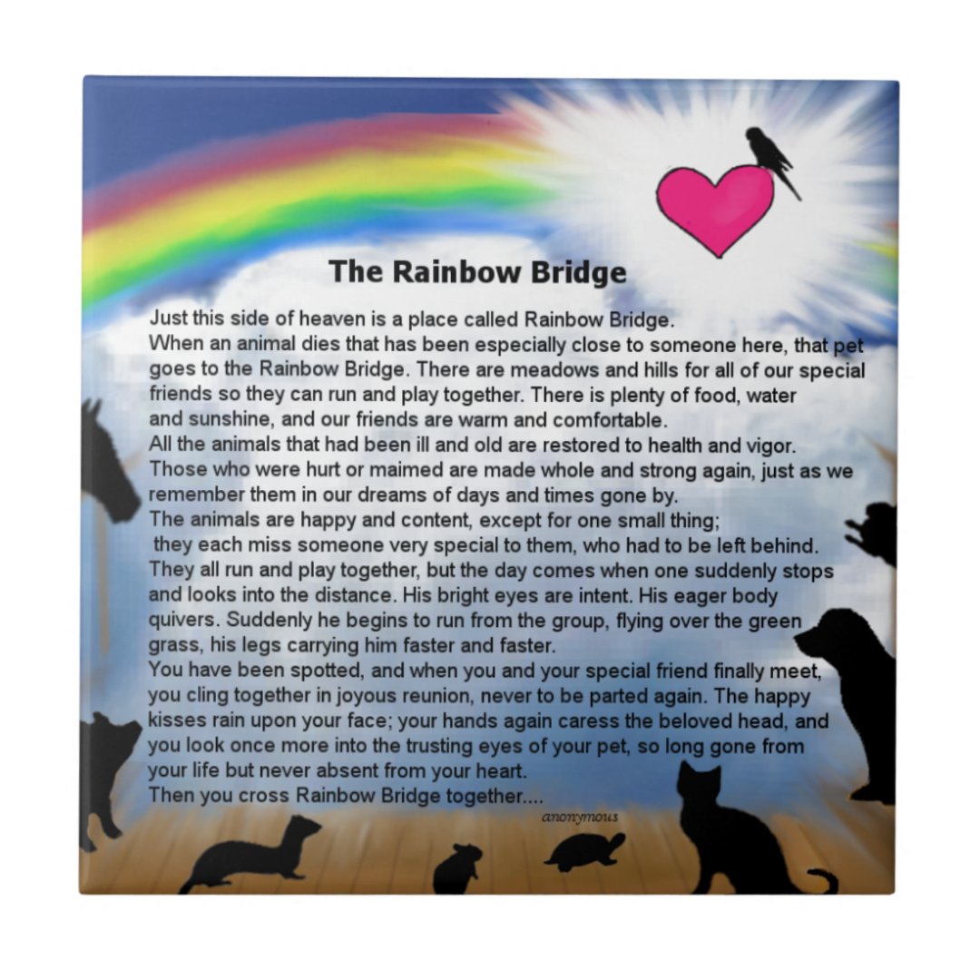 Rainbow Bridge Poem Tile | Zazzle