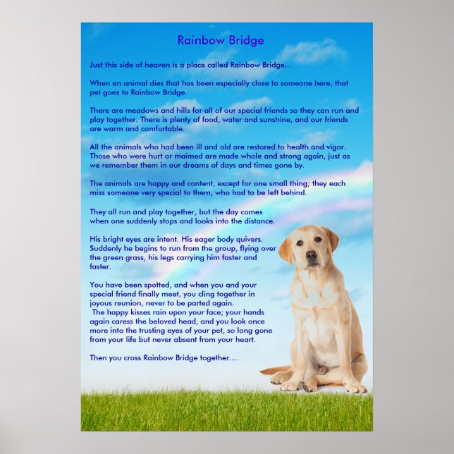 Rainbow Bridge Poster (Front)