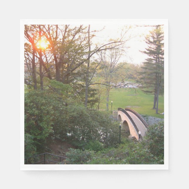 Rainbow Bridge Sunset at Grove City College Napkins (Front)