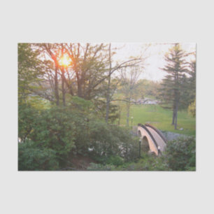 Rainbow Bridge Sunset at Grove City College Tissue Paper