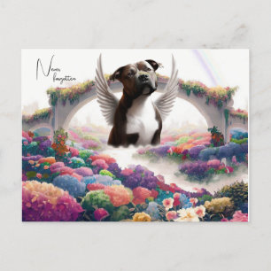 Rainbow Bridge Sympathy Keepsake Postcard Art