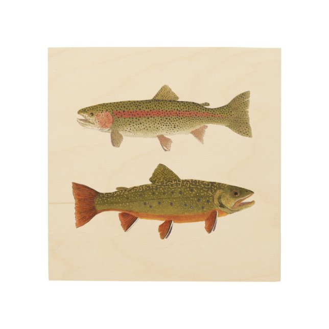 Rainbow & Brook Trout Art on Wood (Front)